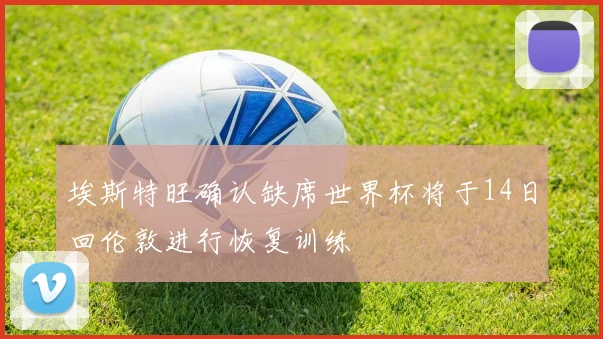 埃斯特旺确认缺席世界杯将于14日回伦敦进行恢复训练